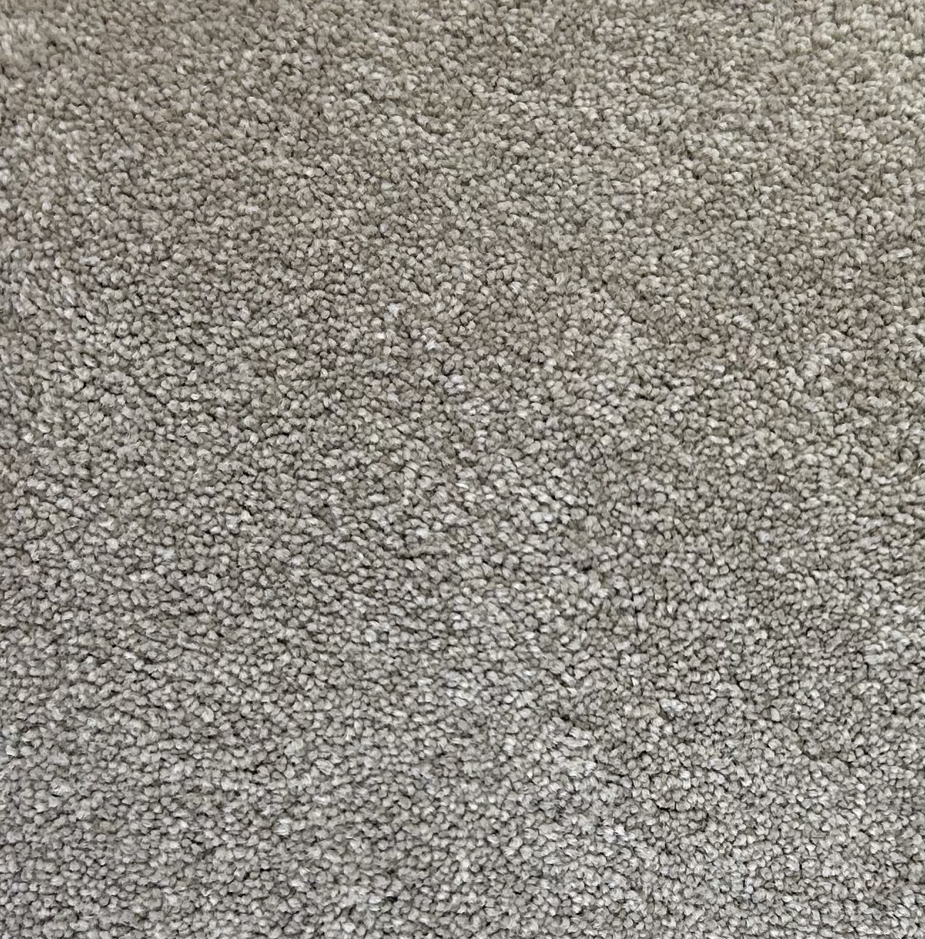 NFA65 Cappuccino - Pierce Carpet Mill Outlet