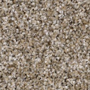 Carpet Flooring | Pierce Carpet Mill Outlet