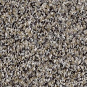 Swatch | Pierce Carpet Mill Outlet