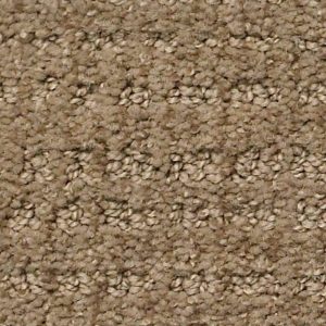 Sensible Now Summerville | Pierce Carpet Mill Outlet