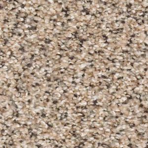 Carpet swatch | Pierce Carpet Mill Outlet