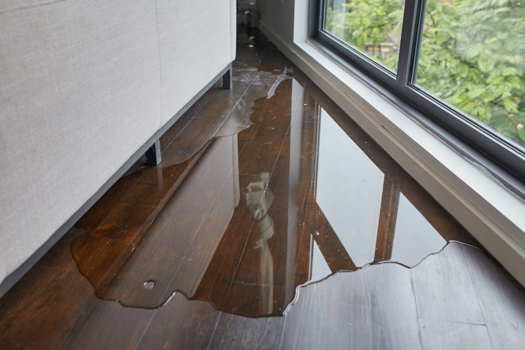 How to Deal with Flood Damage | Pierce Carpet Mill Outlet