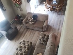 Living room flooring | Pierce Carpet Mill Outlet