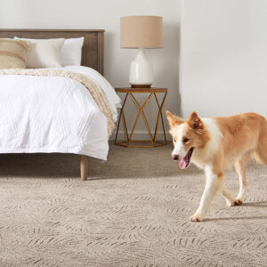 Pet friendly carpet flooring | Pierce Carpet Mill Outlet