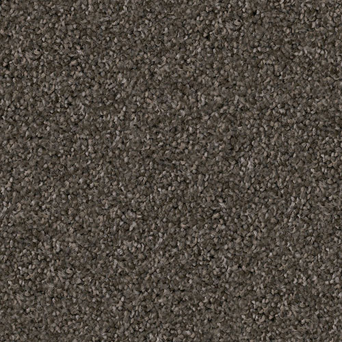 Area rug | Pierce Carpet Mill Outlet