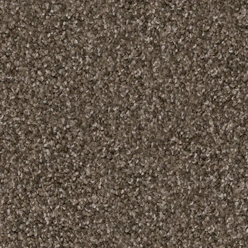 Pinscher-1 Flooring | Pierce Carpet Mill Outlet