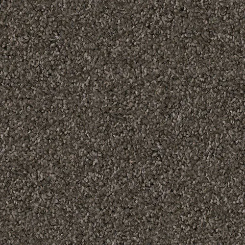 Schnauzer Schnauzer Flooring | Pierce Carpet Mill Outlet