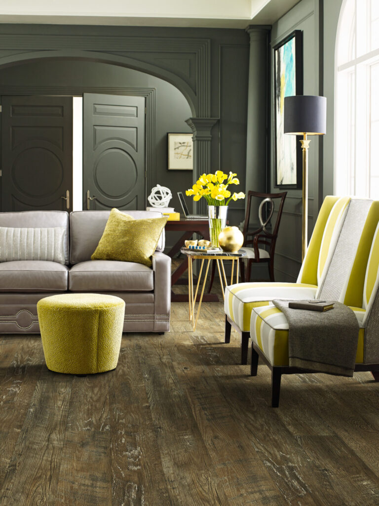 BayAreaClassics SL109 07007 Brazen V - Pierce Carpet Mill Outlet