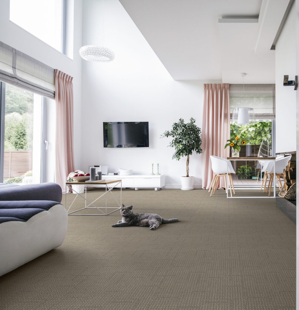 Tabby 76906 RS - Pierce Carpet Mill Outlet