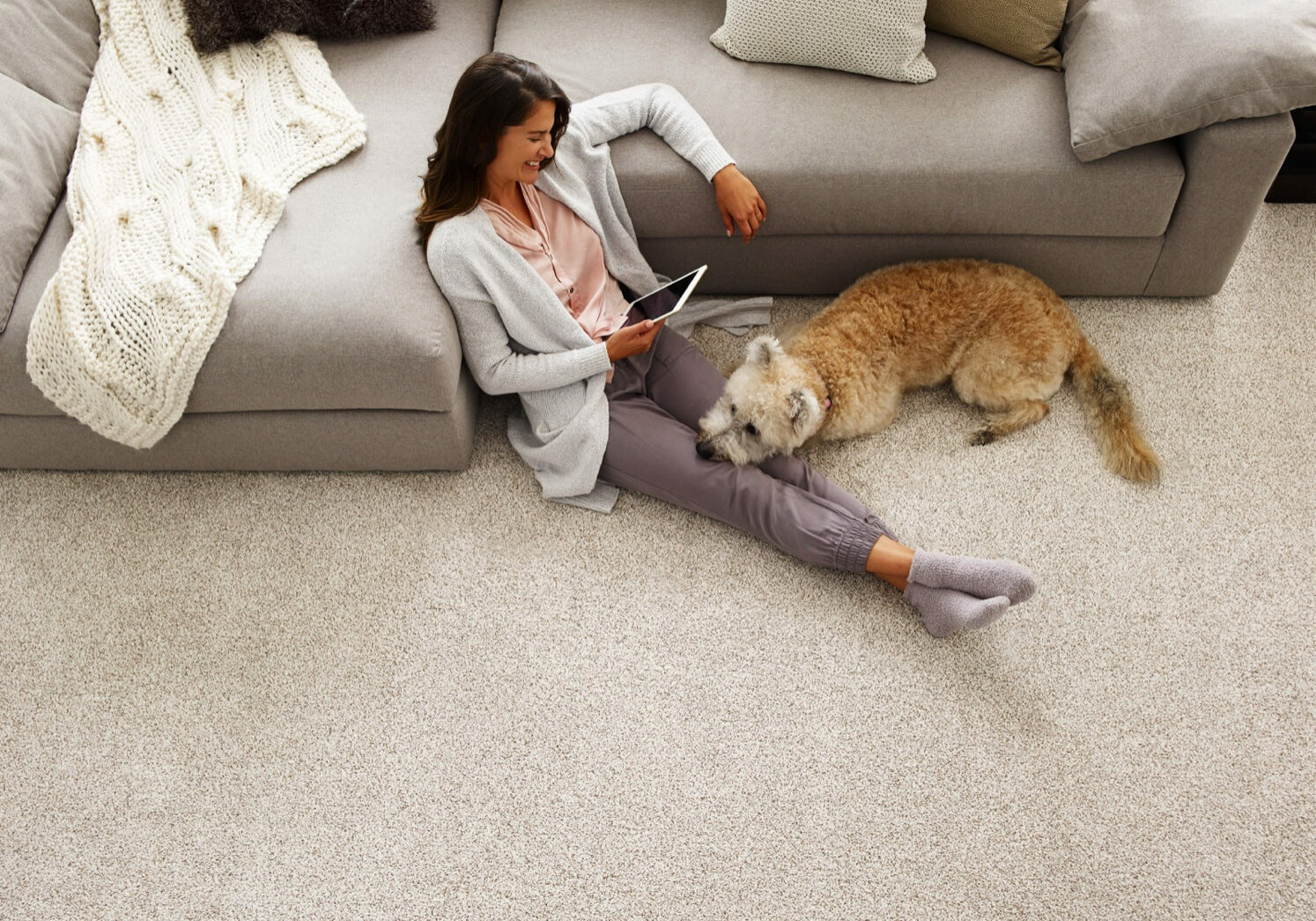 Pet friendly carpet flooring | Pierce Carpet Mill Outlet