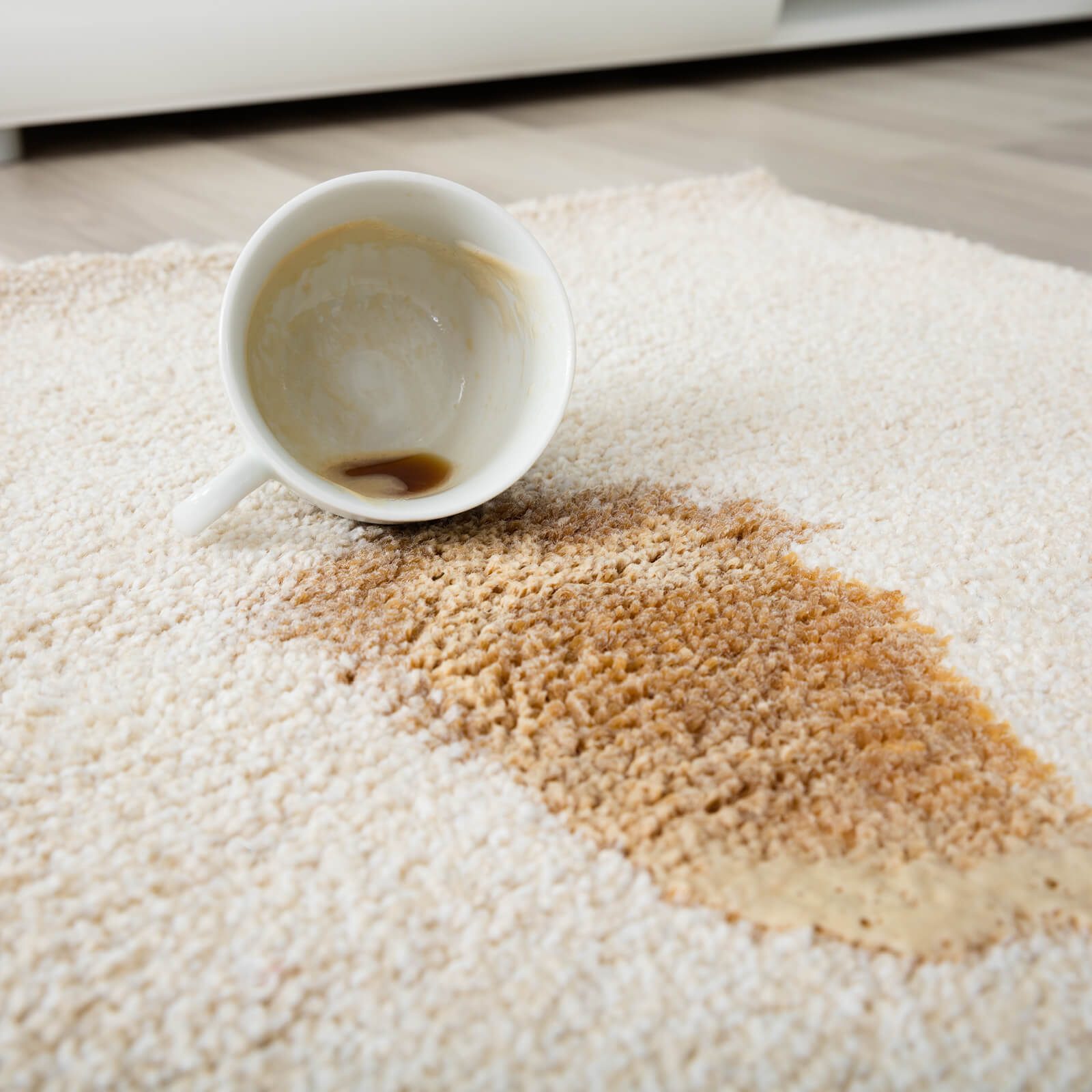Time for a Professional Rug Cleaning | Pierce Carpet Mill Outlet